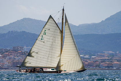 DSC09506.jpg