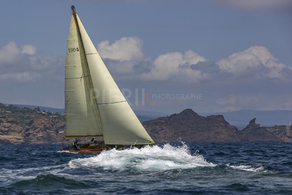 O60A6221.jpg