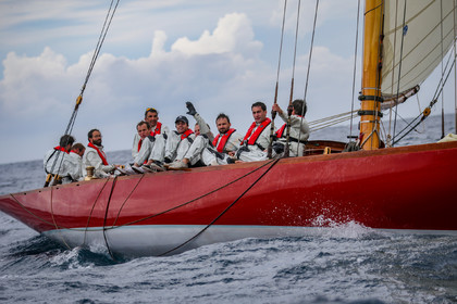 A29X8004.jpg