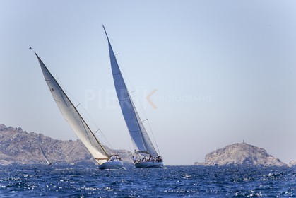 A29X8936.jpg