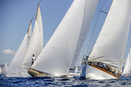 A29X0731.jpg