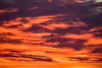 IMG_3582.jpg