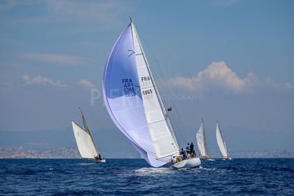 A29X1678.jpg