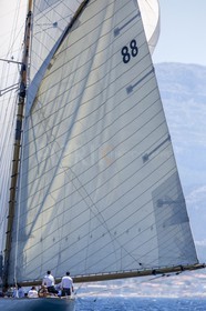 O60A0705.jpg