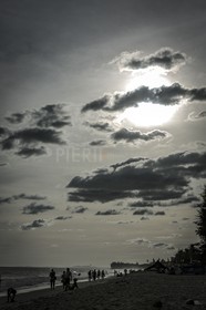 MuiNe12-5.jpg