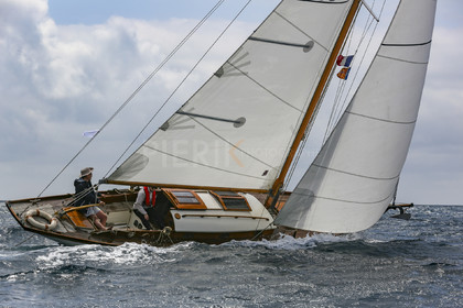 O60A5793.jpg