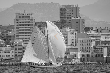 VVP_2023-6980.jpg