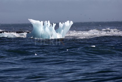 Iceberg