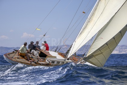 A29X9243.jpg