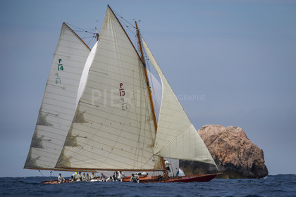 A29X8742.jpg