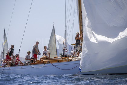 A29X2274.jpg