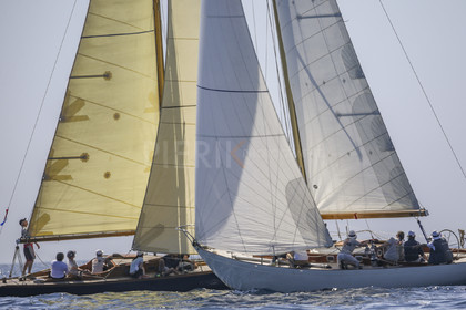 A29X9232.jpg