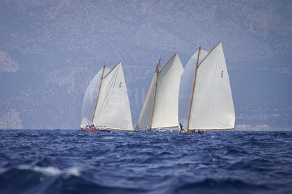 _DSC7498.jpg