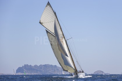A29X9084.jpg