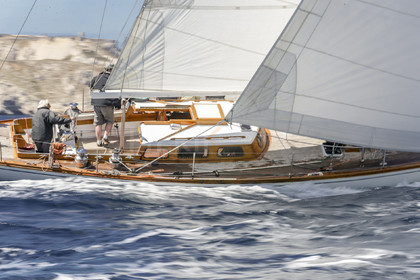 A29X1129.jpg