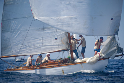 A29X4790.jpg