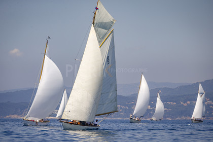 A29X7197.jpg