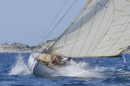 VVP_2023-08625.jpg