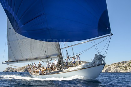 A29X0884.jpg