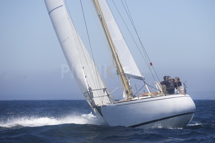 A29X6534.jpg