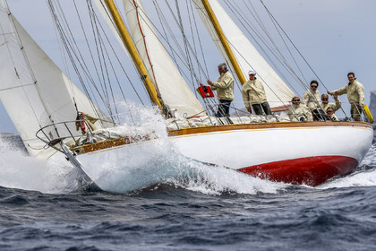 A29X2185.jpg