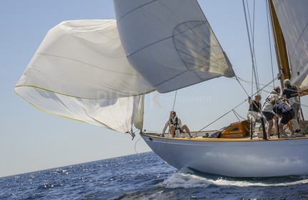 O60A5863.jpg