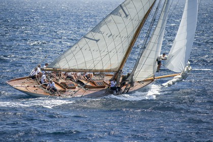 A29X1519.jpg