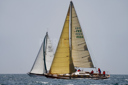 DSC09905.jpg