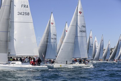 A29X1505.jpg