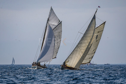 A29X4243.jpg