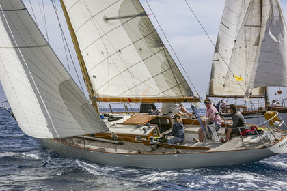 O60A2583.jpg