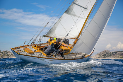 O60A8651.jpg
