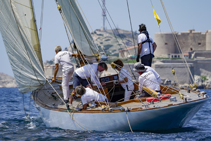 VVP_2023-6943.jpg