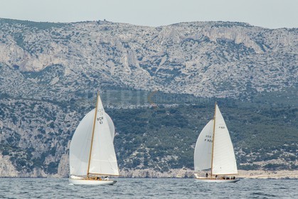 AZ0T6775.jpg