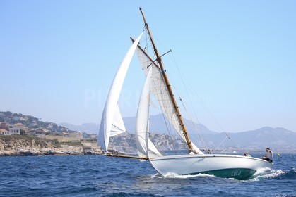 A29X9051.jpg