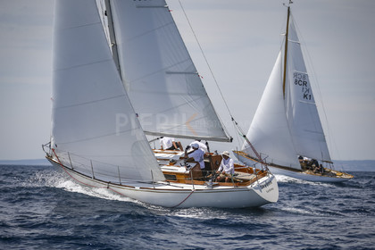 A29X0584.jpg
