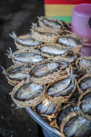 BenTre-64.jpg