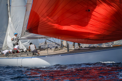 A29X4818.jpg