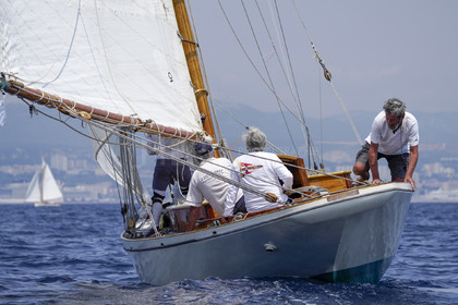 VVP_2023-7842.jpg