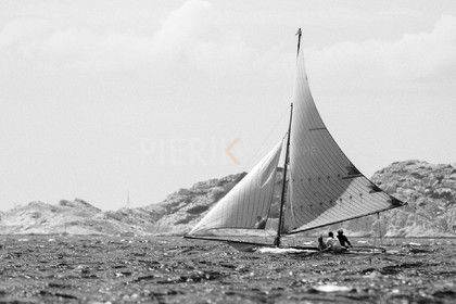 PIJ_1448.jpg