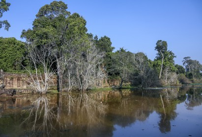 07122013-BL6A0769.jpg