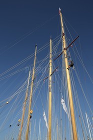 BL6A3625.jpg