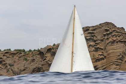 O60A7126.jpg