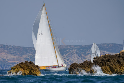 DSC09636.jpg
