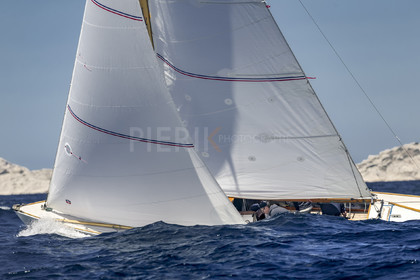 A29X0779.jpg