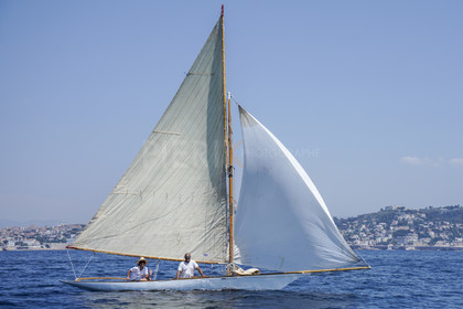 _DSC4864.jpg