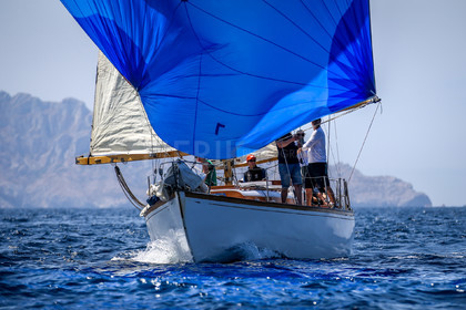A29X4854.jpg