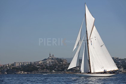 BL6A3677.jpg