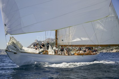 O60A5877.jpg