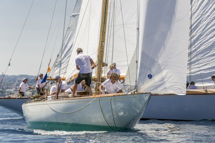 O60A8139.jpg